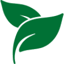 herbal-spa-treatment-leaves