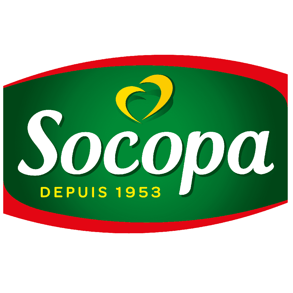 2.3.3 – Socopa