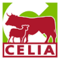 3.2.1 – CELIA