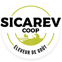 3.2.4 – SICAREV