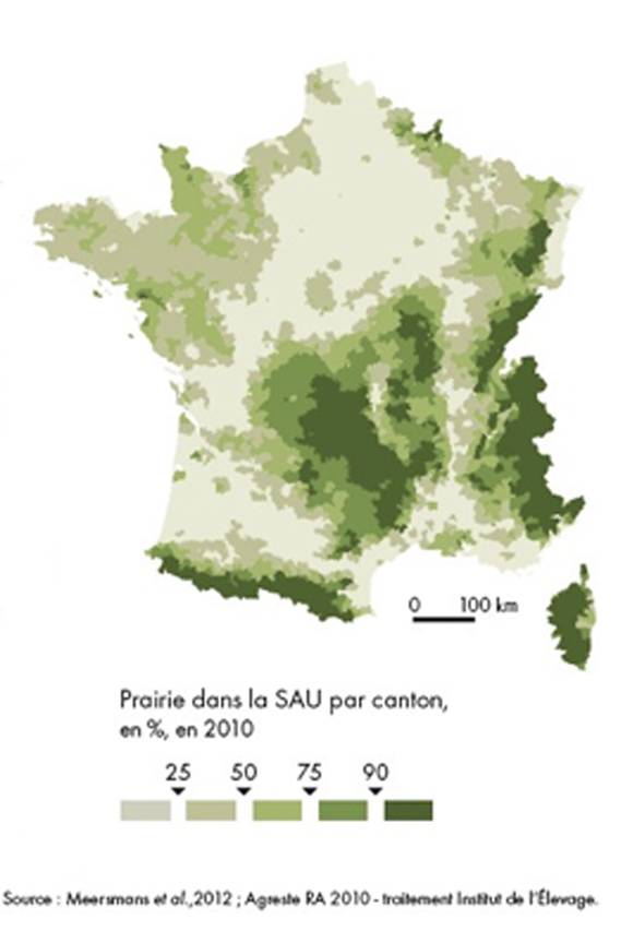 Carte-prairies