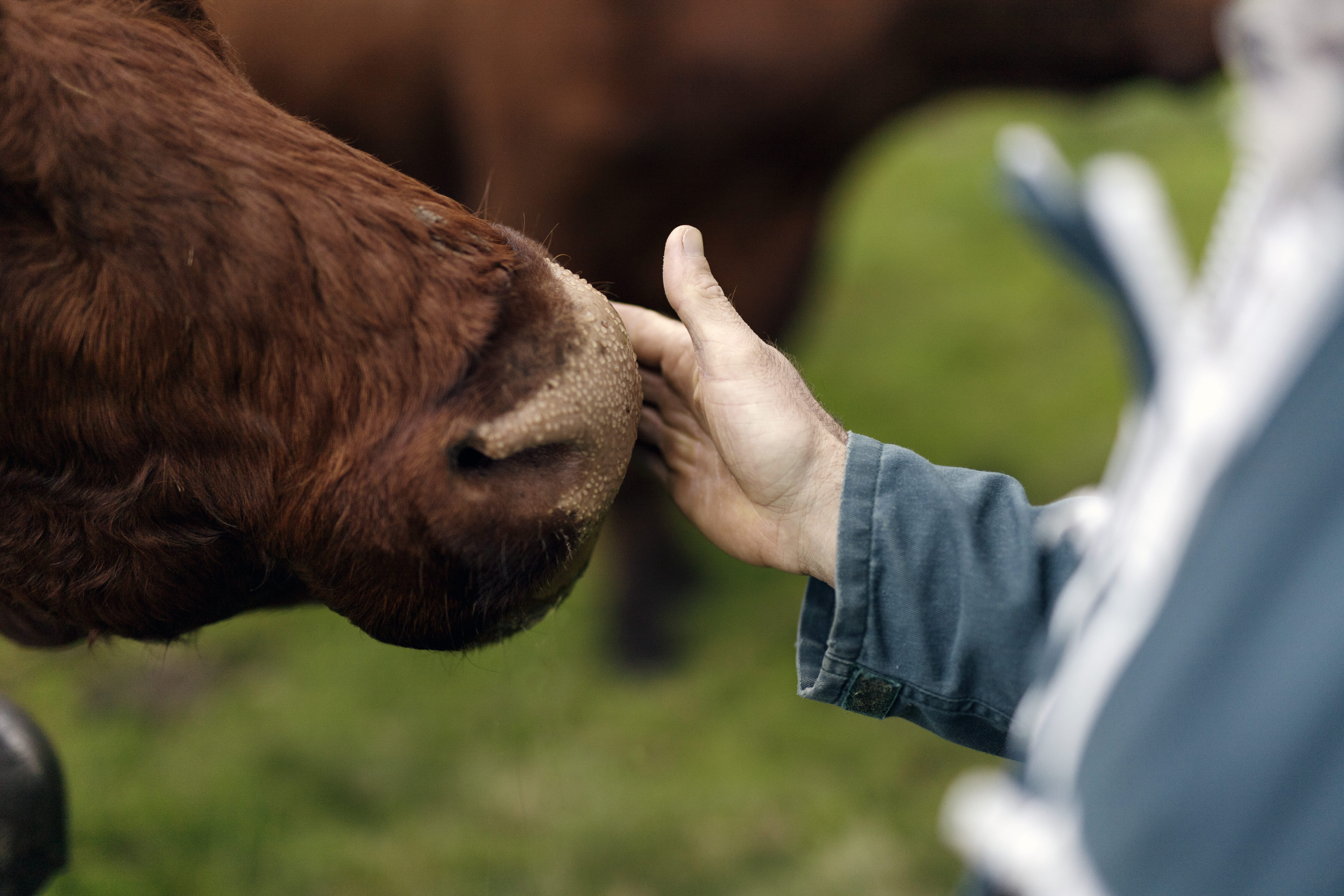 A la découverte d’Alt.1886